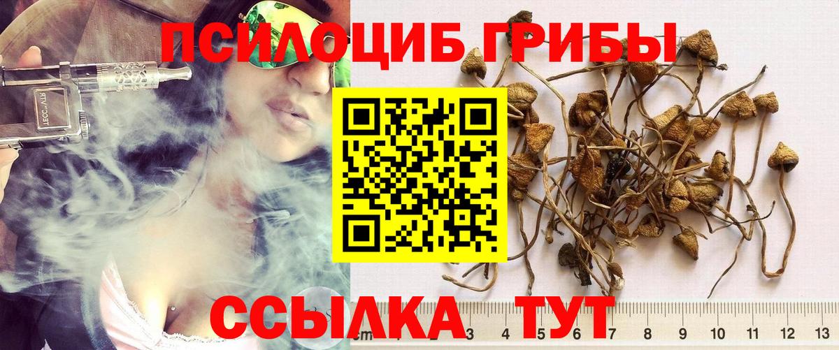 Мефедрон  Муром  A PVP СОЛЬ   ЭКСТАЗИ  ГАШИШ  Каннабис  МЕФ   Вход с VPN  MDMA  COCAIN 