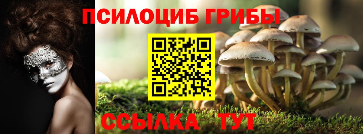 Муром  Галлюциногенные грибы ЛСД  Псилоцибиновые грибы Psilocybe  Вход с VPN 